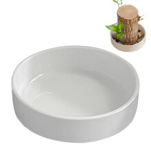 Brazilian Holzpflanze Decorative Small Indoor Plant for Table Decoration 4.33 x 4.33 x 1.18 Inches for Kitchen Bathroom Living Room Bedroom