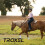 Troxel Desert Spirit MIPS Duratec Reithelm M 2