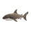 Douglas Plschtier Douglas Fin Groer Weier Hai 1