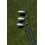 Mizuno MIZUNO PRO T1 Wei Satin 3