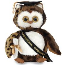 Bearington Wisdom Class of 2025 Graduation Hibou en peluche avec casquette noire avec diplme et ceinture 21,6 cm