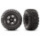 TRAXXAS 6792 SLEDGEMAMER DUE PRESO DELLA PRE-ASSEMBLICA PRE-ASSEMBLICE RUE BLACI PER CAGHT 1