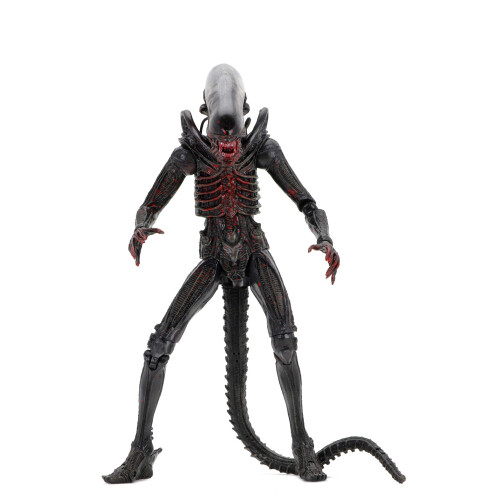NECA NECA Alien - 7 Scale Action Figuuri - 40 vuotta - Wave 2 - Bloody Xenomorph 1
