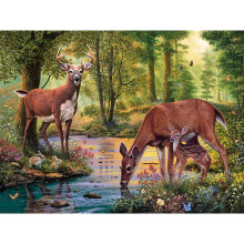 Stukjes en stukjes - Legpuzzel van 500 stukjes voor volwassenen - Bosstroom - Hertenstroom Bosboom Bloem Natuur Water Dieren Bossen Legpuzzel van kun