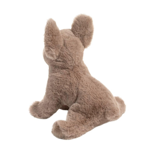 Douglas Douglas Gabbie Bouledogue Franais Doux 2