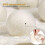 6Pcs Wool Balls Reusable Natural Fabric Softener 5