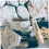 Granite and Spring Washer Set for Concrete Splitter – Hand Tool for Efficient Stone Splitting, Robust and User-Friendly 4
