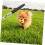 Dog Whistle with Adjustable Frequency Strap for Effective Training Sound Insulation Safe Humane Education Tool 2
