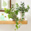 Small Trellis for Potted Plants Wrought Iron Leaf 5