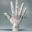 For Universal Flexible Hand Modelmovable Artist Mannequin Hand Shape 4