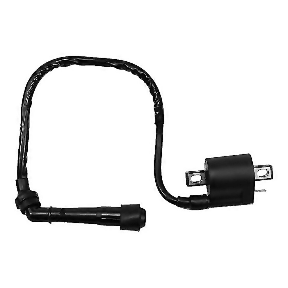 For High Voltage Pack Ignition Coil For En500c 6000001184420