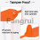 For 1000 Pcs Plastic Tamper Seals Tags Orange 3