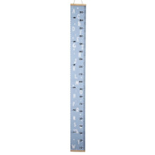 For G Canvas Growth Chart For Kid Unisex Kids Room Wall Decor Measuring
