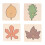 4Pcs Wooden Jigsaw Leaves Develop Skills Bright 2