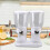 Cereal Dispenser ABS Dual Containers Airtight 12