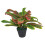Leaf 40cm Artificial Codiaeum Multicoloured House Plant 1