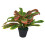 Leaf 40cm Artificial Codiaeum Multicoloured House Plant 1