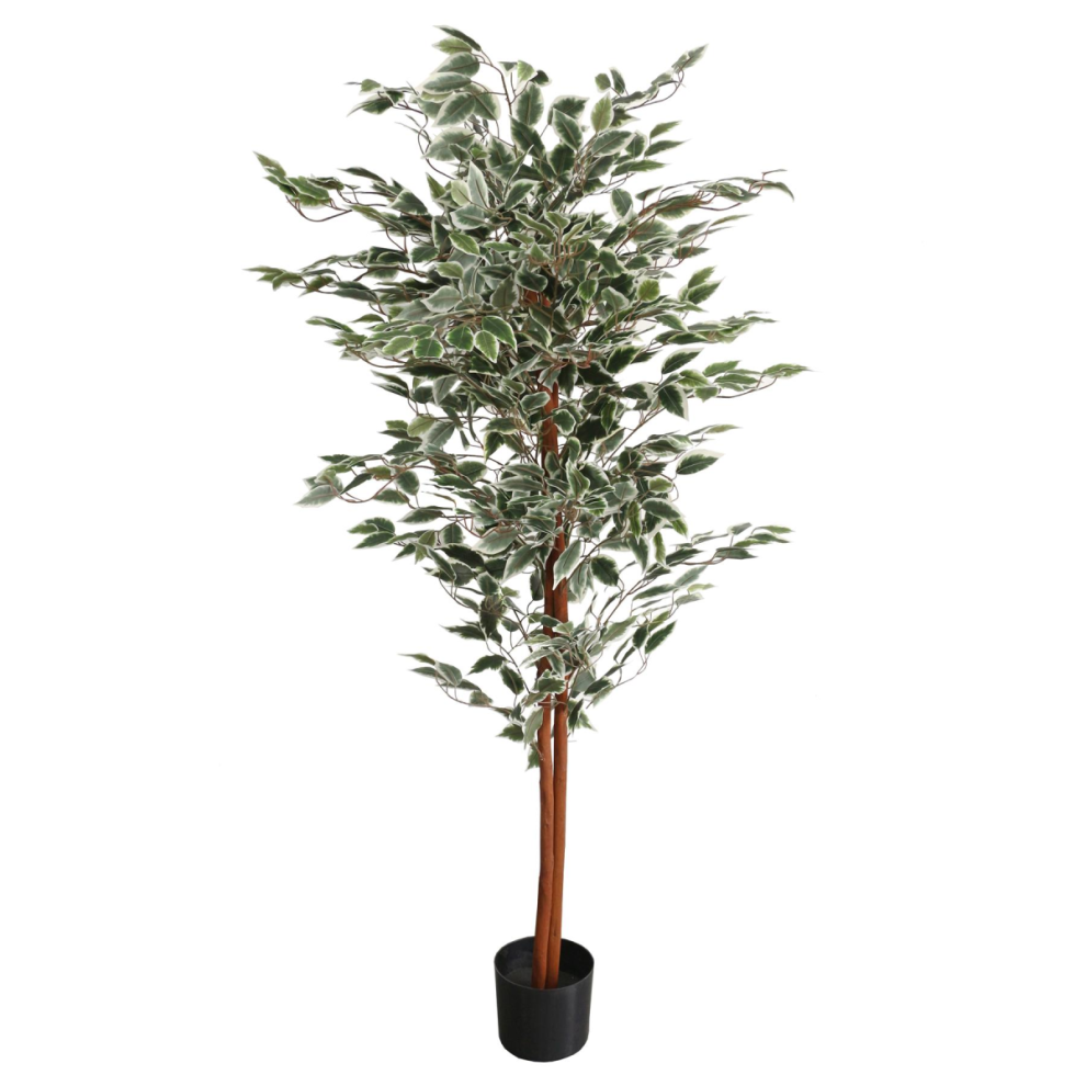 Leaf 160Cm Artificial Ficus With Natural Variegated Leaves