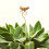 66CM BIRD FEEDER 1