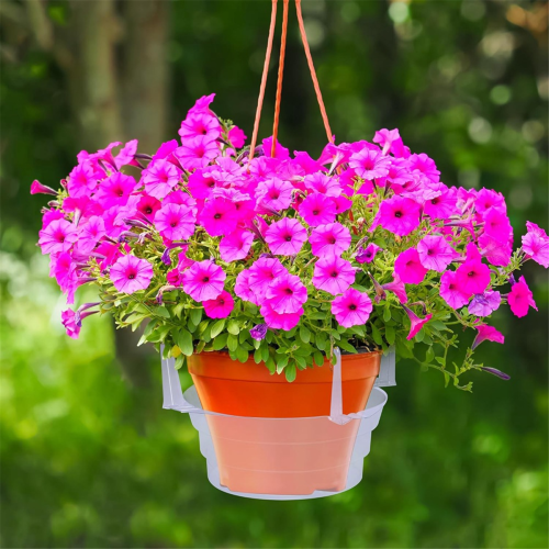 15 peças coletor de água para plantas pendurado - plástico transparente para água de plantas 6 polegadas 2