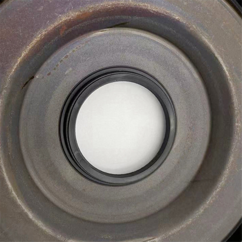 Quality Car 4WD Coupler Oil Seal for 2