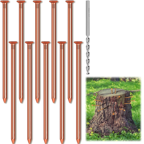 10pcs Copper Nails for Killing Trees Stump Root