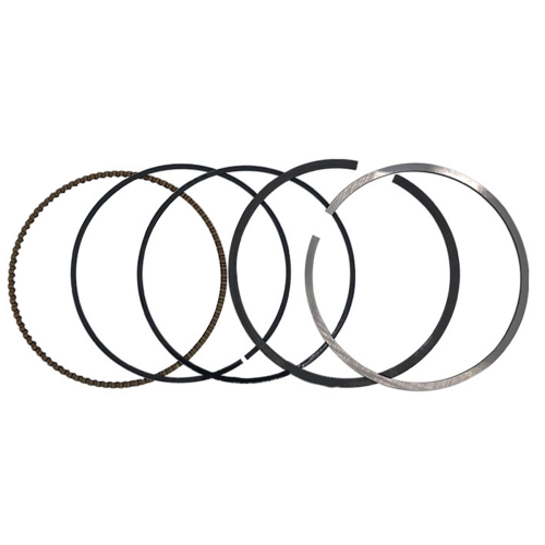 Engine Piston and Parts Ring Class Kit for Seat