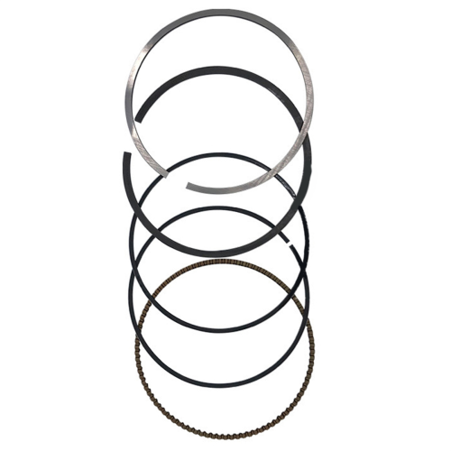 Engine Piston and Parts Ring Class Kit for Seat 1