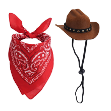 Western Cowboy Porch Goose Outfits
