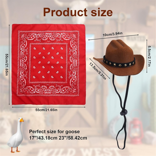 Trajes de cowboy ocidental para varanda e ganso 1