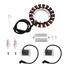234859 237329 Nuovo statore da 15/20 Amp con regolatore per