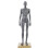 Knochen Mannequin Werkzeug Skulptur Künste 1
