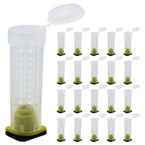 40Pcs Bee Keeper Plastic Cage Mesh Protector for Effective Beekeeping 2