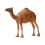 1/64 Animal Figure Camel Tiny for Layout Desert Landscape Architecture 1