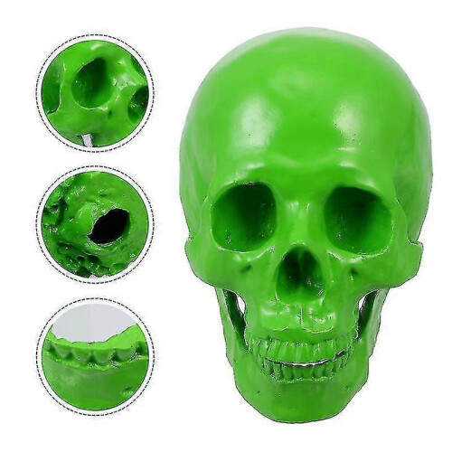 1pcs Skull Head Prop for Halloween Decorations 2