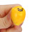 Lazy Egg Squeezing Anti Stress Toy Ball Antistress 4