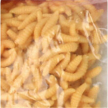 (A02 50PCS)Soft Bread Bug Fishing Lures 50pcs Lifelike Worm Soft Lure Earthworm Artificial Bait