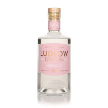 Wardington's Ludlow Gin - Hibiscus, Orange & Pink Peppercorn 70cl 42%