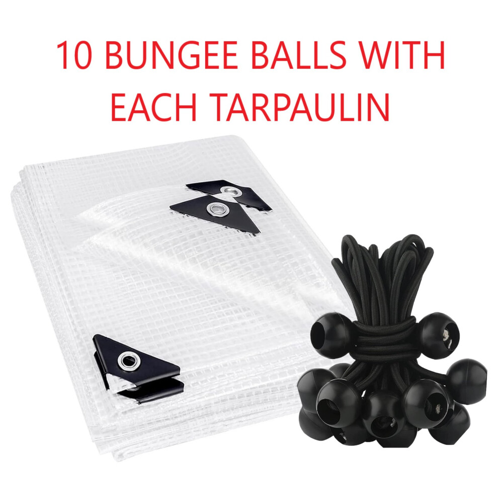 (5M X 6M) Clear Tarpaulin Tear-Resistant Weather-Resistant Sun-Proof Reinforced Heavy Duty + 10 Bungee Ball 4" Black 5061004428844