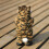 Electric Cute Simulation Cat Yellow Cat Singing 5