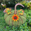 Metall Kürbis Gartenstecker Herbstdekor Hofstecker Schild Dekor Grün,B 5
