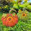 Metall Kürbis Gartenstecker Herbstdekor Hofstecker Schild Dekor Grün,B 1