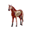 Animal Organ Anatomy Model 4D Horse Intelligence Assembling Toy 3