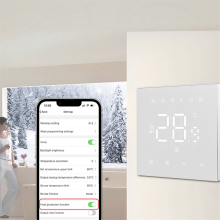 Regolatore di temperatura elettrico per caldaia a gas 220v 16A, nero per la casa