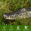 Floating Alligator Head,Alligator Head Decoy for Pool,Deterrent Ducks 7
