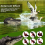 Floating Alligator Head,Alligator Head Decoy for Pool,Deterrent Ducks 5