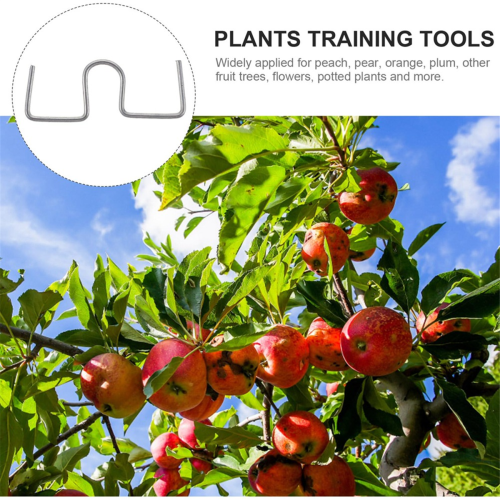 Tree Open Angle Pull Branch Bending Tool Fruit Branch 25PCS 1