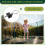 10 szt. śrub do trampolin, akcesoria do trampolin, śruby 5