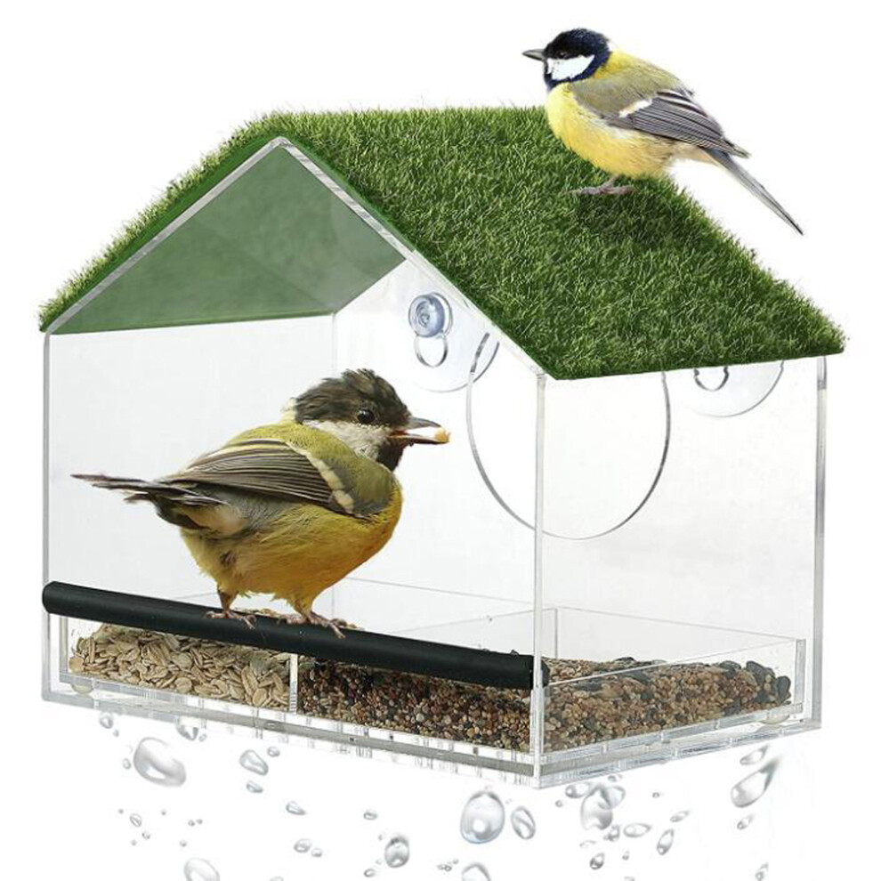 Window Bird Feeder with Turf Suction Cups and