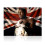 Frank Bruno Signed Boxing Photo: WBC Champion 1